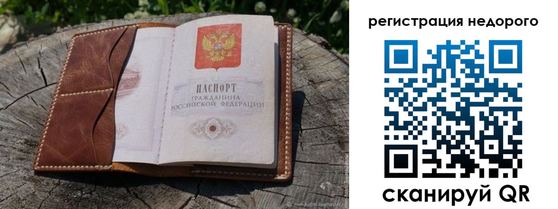прописка гарантия в Ясном